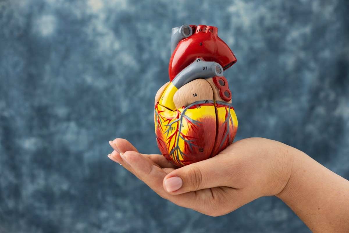 Heart health and cardiac care
